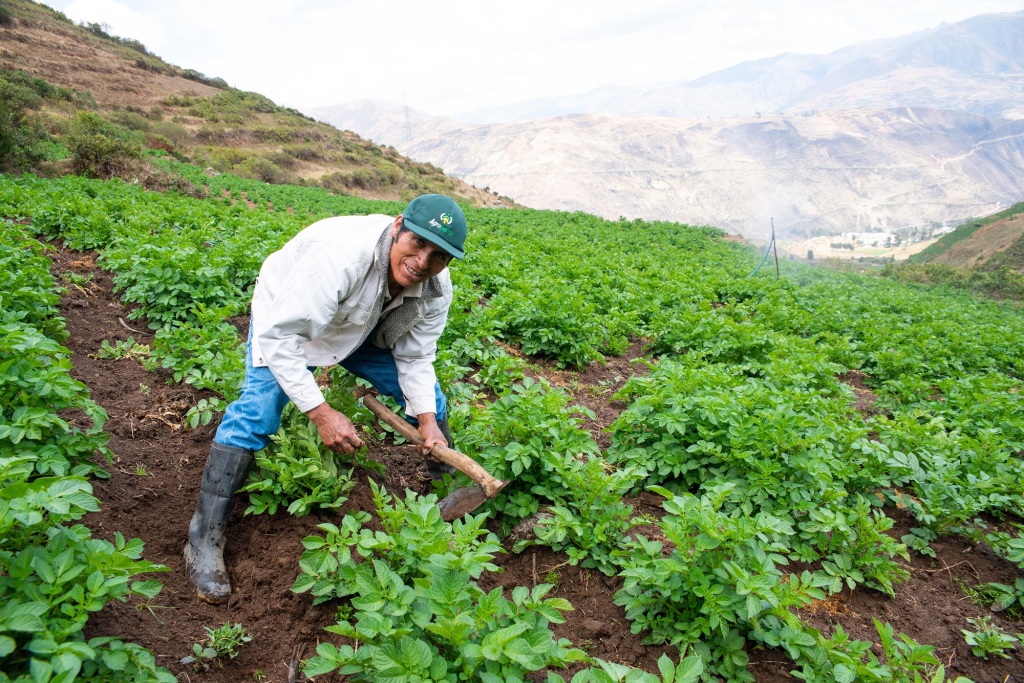 Se aprobó reprogramación de crédito de Agro Perú – AgroNegociosPerú